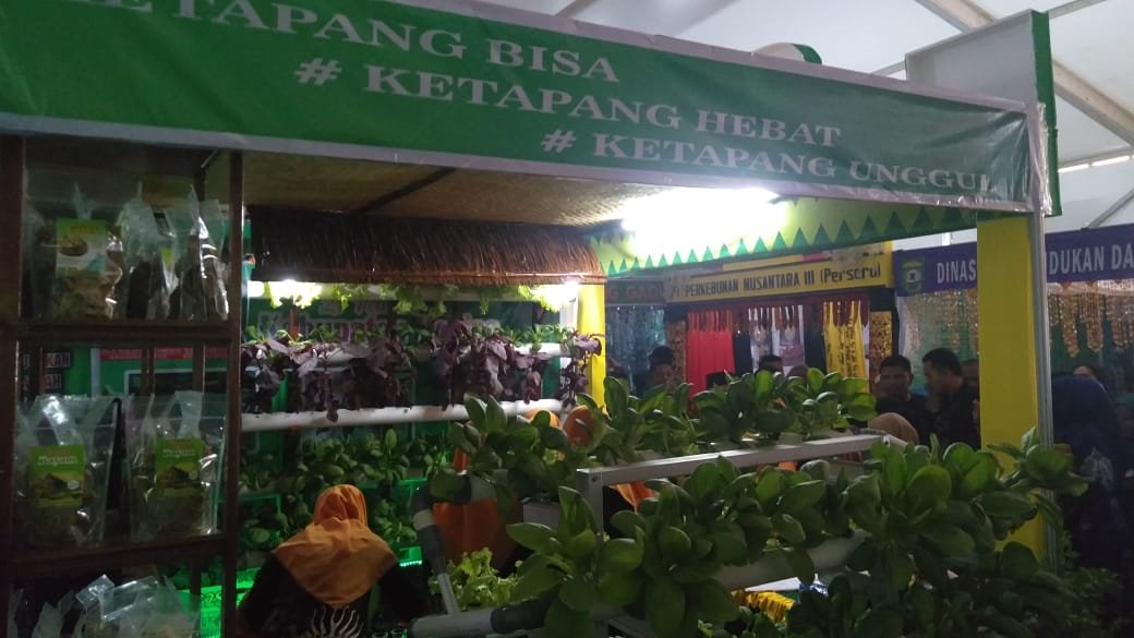 Dinas Ketahanan Pangan Angkat Topik KRPL Tanaman Rak Susun di Pameran HUT ke-21 Madina