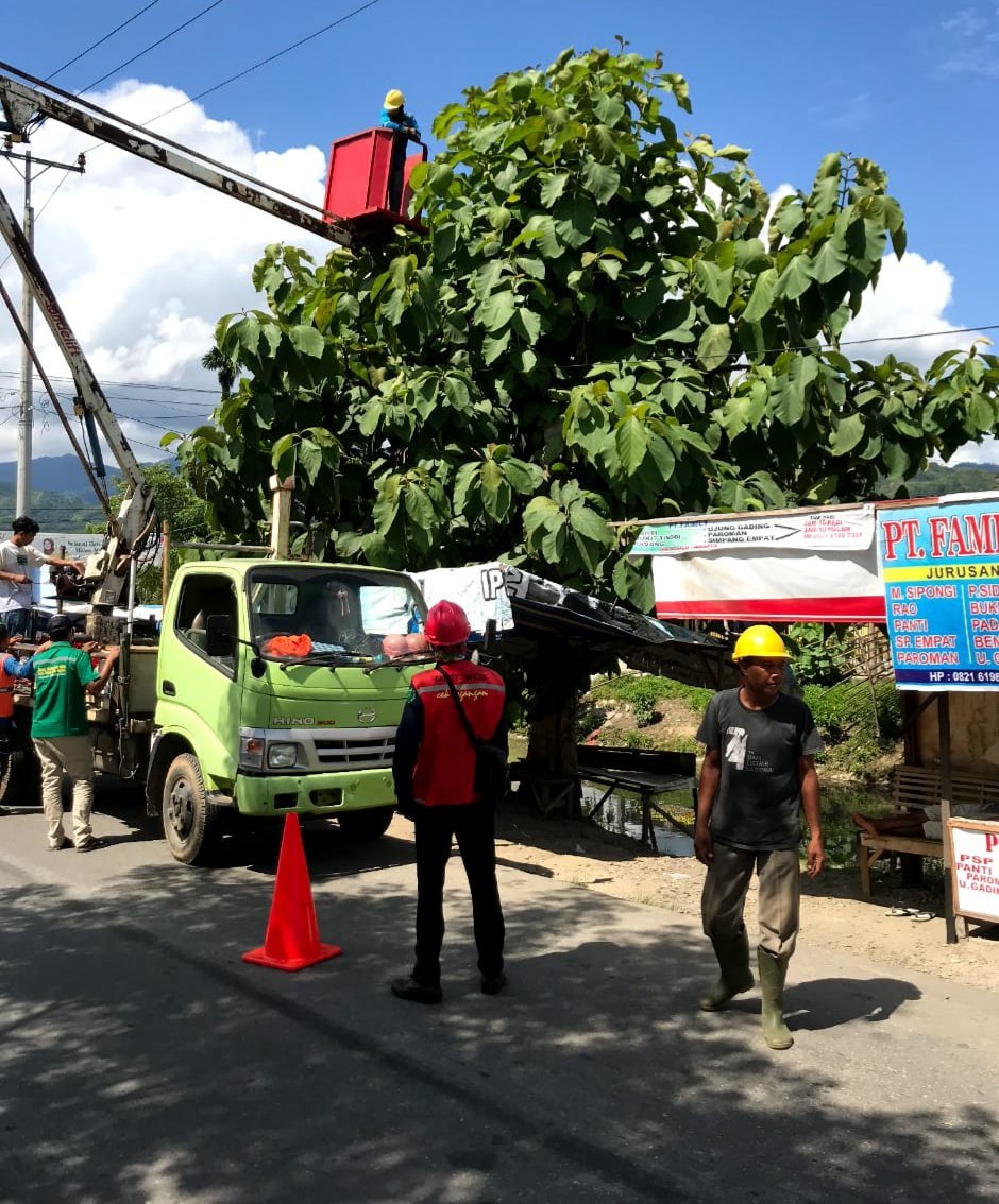 PLN Panyabungan Bekerjasama Dengan Pemkab Madina Lakukan Pembersihan Jaringan