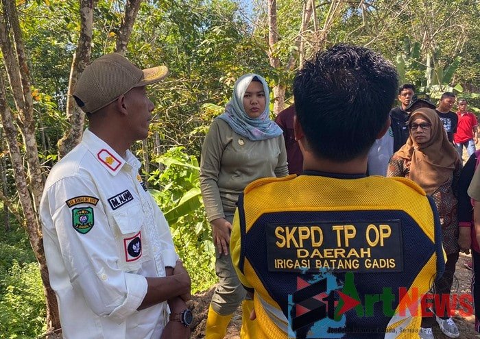 Wabup Madina Tinjau Penyebab Ribuan Hektare Lahan Pertanian Kekeringan