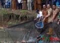Bupati Tapsel Panen Ikan Milik Pokdakan Tobat Ginjang Al Abror di Pargarutan Julu