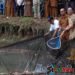 Bupati Tapsel Panen Ikan Milik Pokdakan Tobat Ginjang Al Abror di Pargarutan Julu