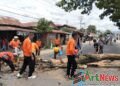 BPBD Madina Potong Pohon Tua di Jalan Lintas Timur Panyabungan