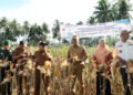 Pemkab Madina akan Buka Kebun Jagung Seluas 1.650 Hektare