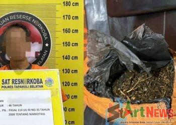 Polres Tapsel Tangkap Pria Ini Hendak Barter Ganja dengan Sabu