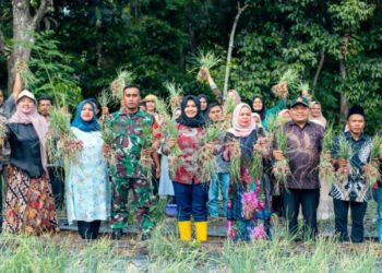 Antisipasi Lonjakan Harga, Atika Ajak Masyarakat Berkebun Sayur di Pekarangan Rumah