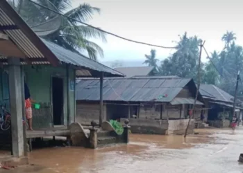 Sungai Parlampungan Meluap, Empat Desa di Muara Batang Gadis Terendam Banjir