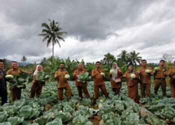 Hasil Panen Kol di Desa Hutanamale Pasok Kebutuhan SPPG untuk Program MBG