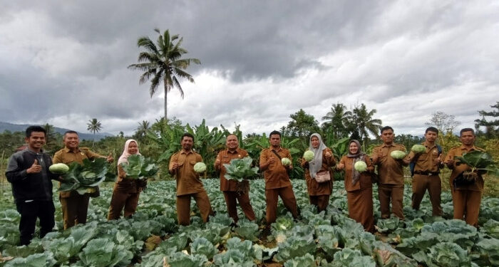 Hasil Panen Kol di Desa Hutanamale Pasok Kebutuhan SPPG untuk Program MBG