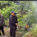 Brimob Sumut Bakar 10 Hektare Ladang Ganja di Panyabungan Timur