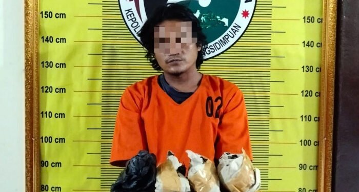 Lagi, Polisi Tangkap Pengedar Ganja di Kelurahan Wek II