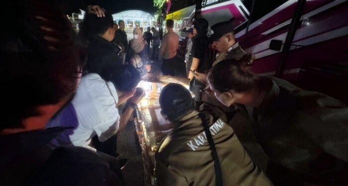 Petugas Gabungan Gagalkan Penyelundupan Ratusan Burung dengan Bus