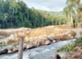 Warga Siulangaling Khawatir Banjir Lebih Dahsyat Akibat PETI di Hulu Sungai