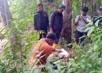 Bareskrim Polri Tinjau Perkebunan PT TBS, Selidiki Dugaan Penyebab Banjir Tapsel