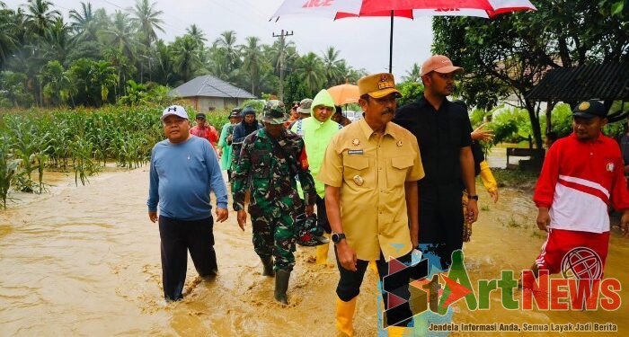 4.498 Hektare Lahan Pertanian Madina Terdampak Banjir, Ribuan Hektare Gagal Panen