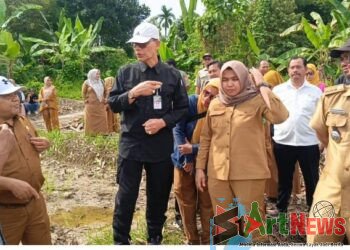 Cek Lahan Pertanian Terdampak Banjir di Madina, Kementan Siapkan Bantuan Benih