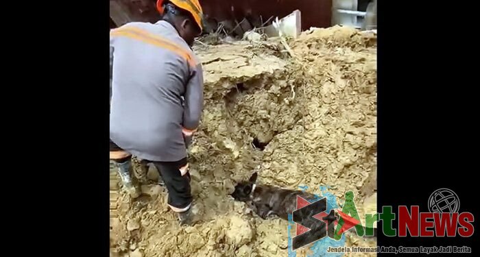 VIDEO: Detik-detik Anjing Pelacak Mengendus Jasad yang Terkubur 20 Hari di Matauli