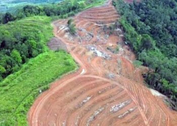 Hutan Bukit Sikara Kara Digunduli, Ancaman Bencana Mengintai Warga Natal