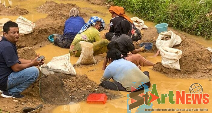 Berkah Banjir Bawa Butiran Emas di Irigasi Batang Gadis