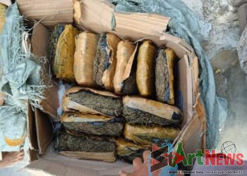 Warga Kampung Darek Temukan Puluhan Bal Ganja di Halaman Rumah