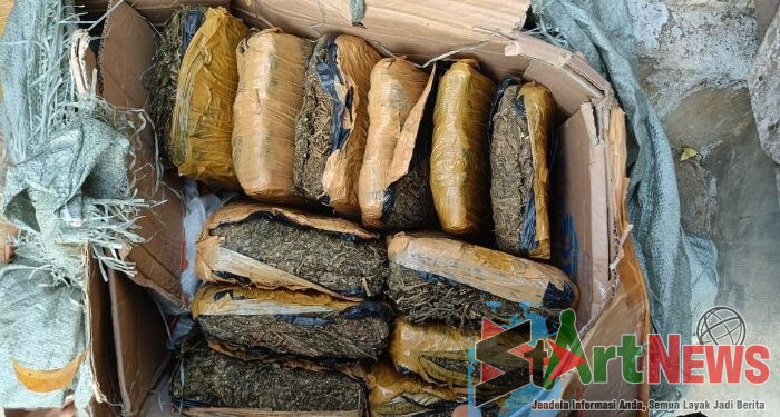 Warga Kampung Darek Temukan Puluhan Bal Ganja di Halaman Rumah