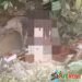Lagi, Warga Temukan Mayat di Hutan Nabundong Paluta