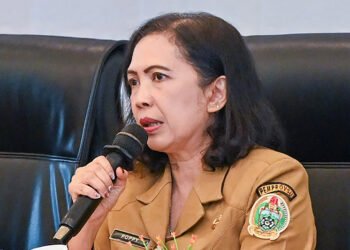 Investasi di Sumut Melonjak 53 Persen, Angka Pengangguran Berhasil Ditekan