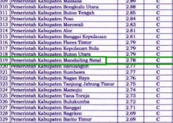 Hasil Evaluasi Kemenpan-RB 2025, Pelayanan Publik Pemkab Madina Raih Kategori C