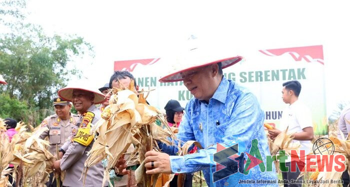 Panen Raya Jagung Bagas Lombang Jadi Simbol Kebangkitan Tapsel 2026