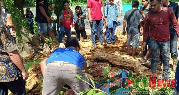 Pelajar SMP di Padangsidimpuan Tewas Tertimpa Pohon Tumbang Saat Tunggu Angkot