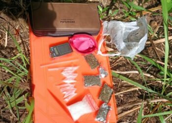 Polsek Natal Temukan Barbuk Sabu dan Ganja di Perkebunan Sawit Desa Buburan