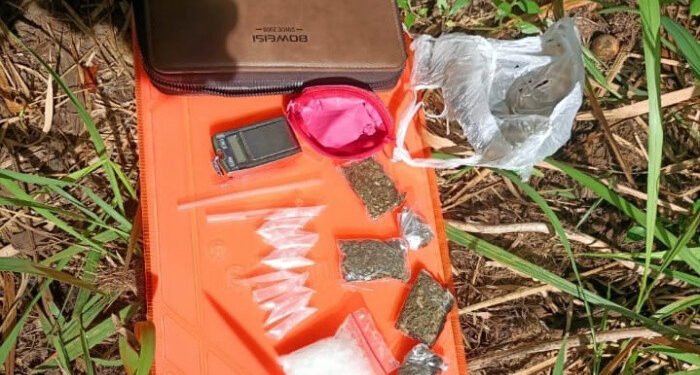 Polsek Natal Temukan Barbuk Sabu dan Ganja di Perkebunan Sawit Desa Buburan