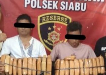 Polsek Siabu Tangkap Dua Pengedar Ganja di Aek Lapan Panyabungan
