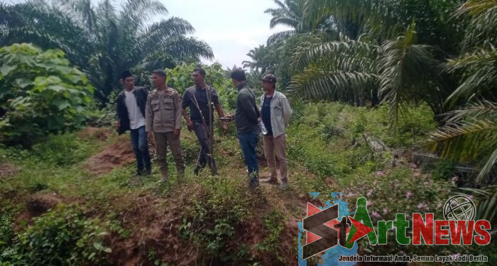 Sengketa Lahan 840 Hektare di Paluta, Tim Terpadu dan BPN Verifikasi Lapangan