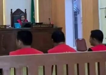 Sidang di PN Binjai, Erina Sitapura Seret Nama Perwira Polda Sumut dalam Kasus Sabu 1 Kg