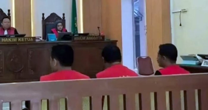 Sidang di PN Binjai, Erina Sitapura Seret Nama Perwira Polda Sumut dalam Kasus Sabu 1 Kg