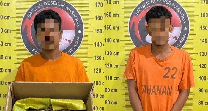 Lagi, Polres Tapsel Gagalkan Peredaran 4 Kg Ganja yang Dipasok dari Madina