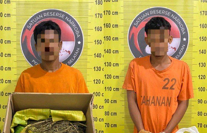 Lagi, Polres Tapsel Gagalkan Peredaran 4 Kg Ganja yang Dipasok dari Madina