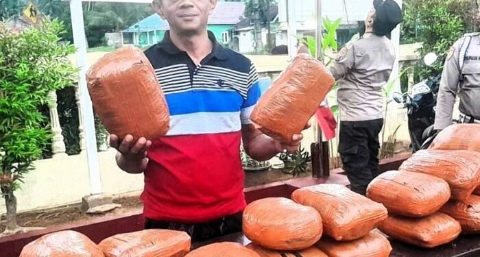 Aksi Berani Warga Kotasiantar Gagalkan Peredaran 20 Bal Ganja Kering