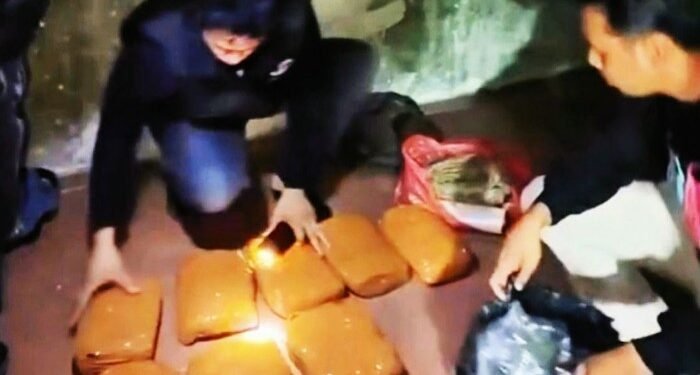 Polisi dan Tokoh Agama Bongkar Gudang Ganja di Kampung Darek Padangsidimpuan