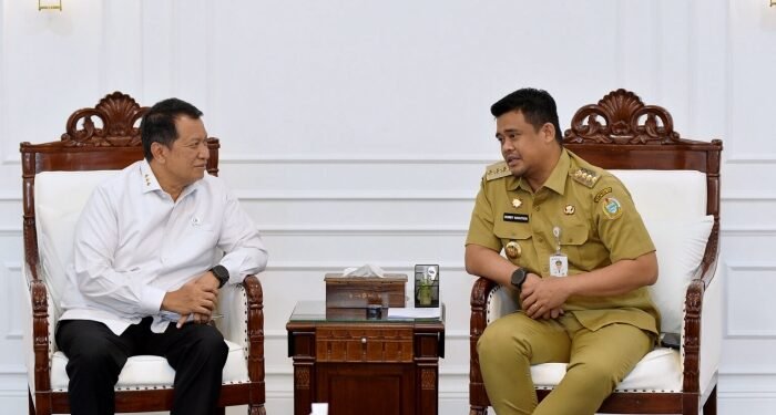 Lapor ke Wamen PAN-RB, Gubsu Pastikan Layanan Publik 18 Daerah Terdampak Bencana Tetap Stabil