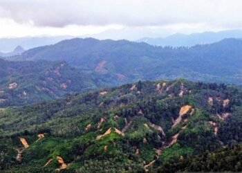 Ratusan Titik Longsor Ditemukan di Hulu Sungai Tapsel Akibat Kerusakan Hutan