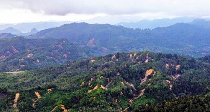 Ratusan Titik Longsor Ditemukan di Hulu Sungai Tapsel Akibat Kerusakan Hutan