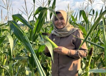 Wabup Madina Ajak Masyarakat Tekan Inflasi dengan Memanfaatkan Pekarangan