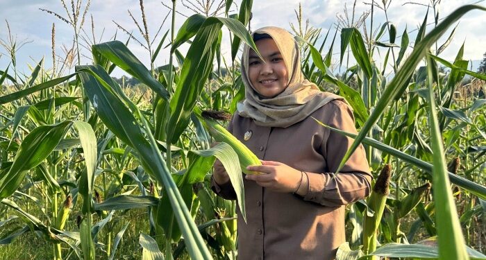 Wabup Madina Ajak Masyarakat Tekan Inflasi dengan Memanfaatkan Pekarangan