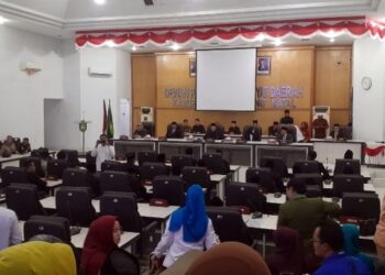 HUT ke-27 Madina, Bupati Serukan Inovasi Pembangunan di Tengah Efisiensi Anggaran