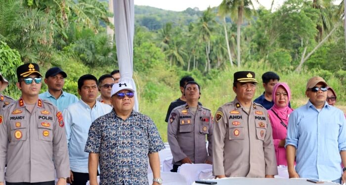 Madina Targetkan 490 Hektare Lahan Jagung Baru untuk Perkuat Ekonomi Rakyat
