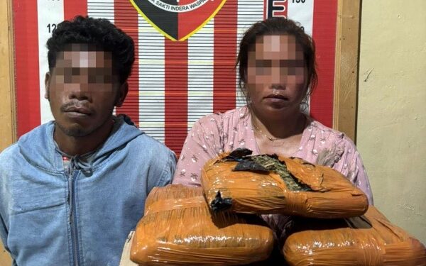 Sepasang Kurir Ganja Asal Panyabungan Ditangkap Polisi di Barus