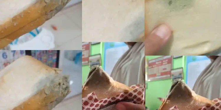 Operasional SPPG Padangmatinggi Dihentikan, Standar Pengawasan Gizi Jadi Evaluasi Utama