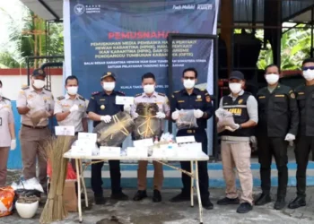 Karantina Sumatera Utara Musnahkan Ribuan Lembar Kulit Biawak Ilegal