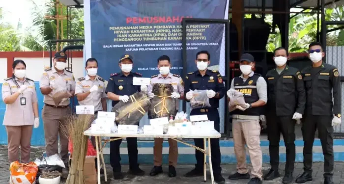 Karantina Sumatera Utara Musnahkan Ribuan Lembar Kulit Biawak Ilegal